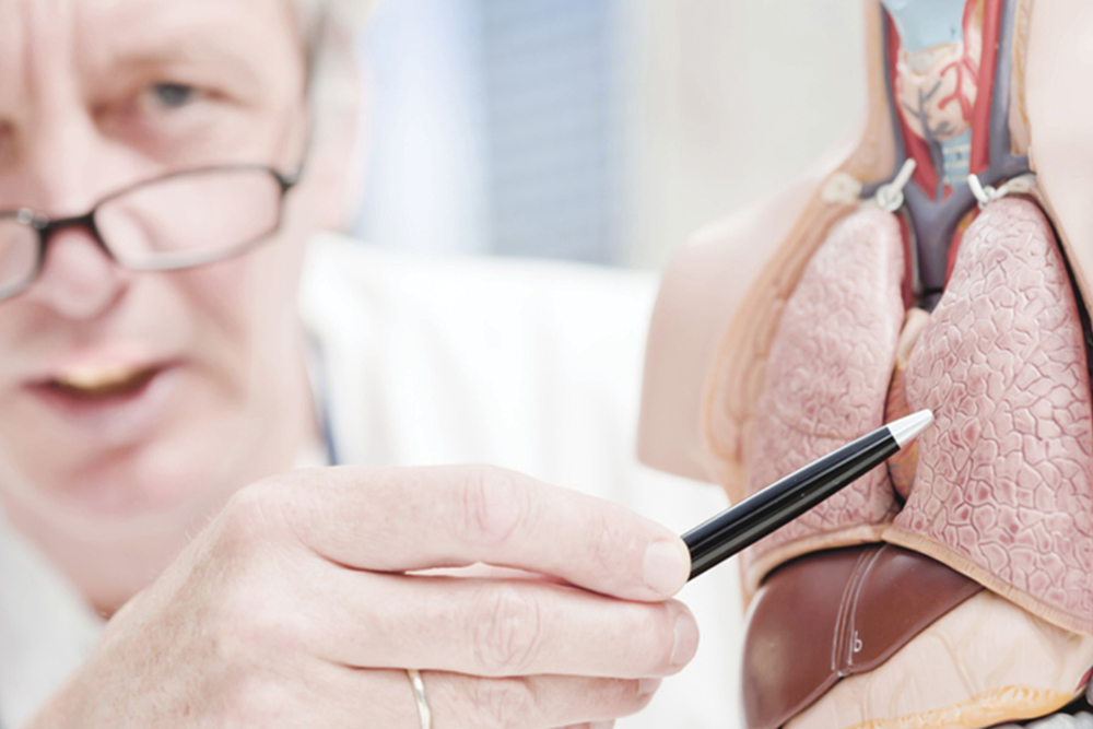 clinician pointing to lungs on a diagram