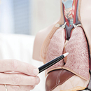 clinician pointing to lungs on a diagram