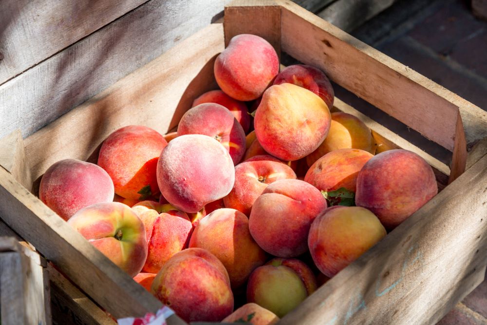 crate of peaches