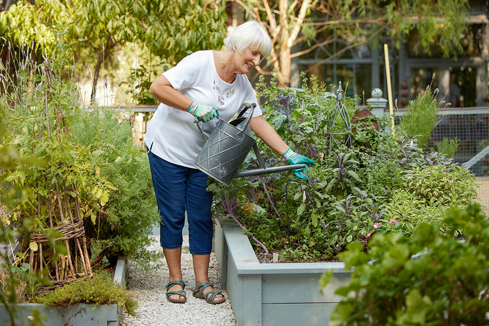 Lifestyle OlderWhiteFemale GardeningWateringPlants