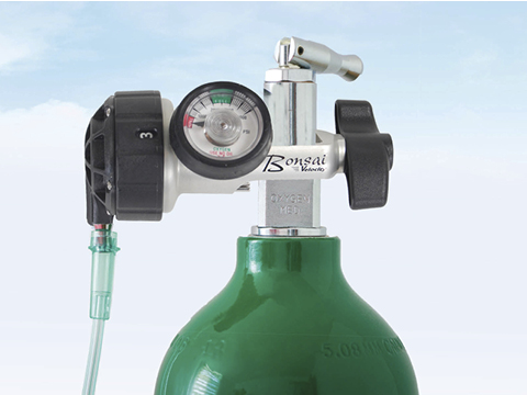 Oxygen OM 812 Bonsai LS Drive 480