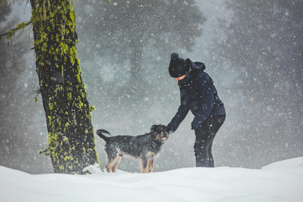man playing with dog outside in the snow