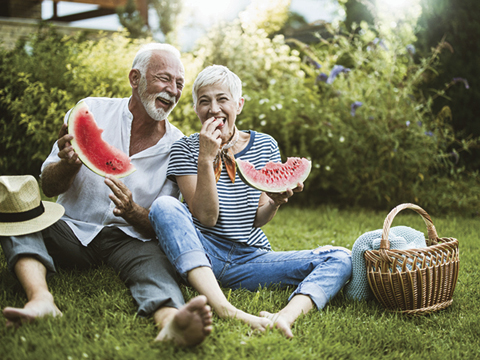 05258 whole health2 480